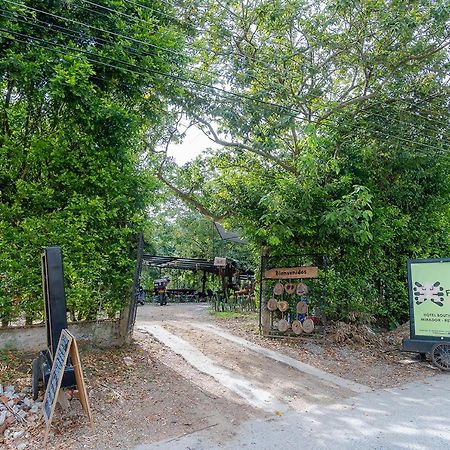 이바게 Ayenda Flora Jaguar B&B 외부 사진