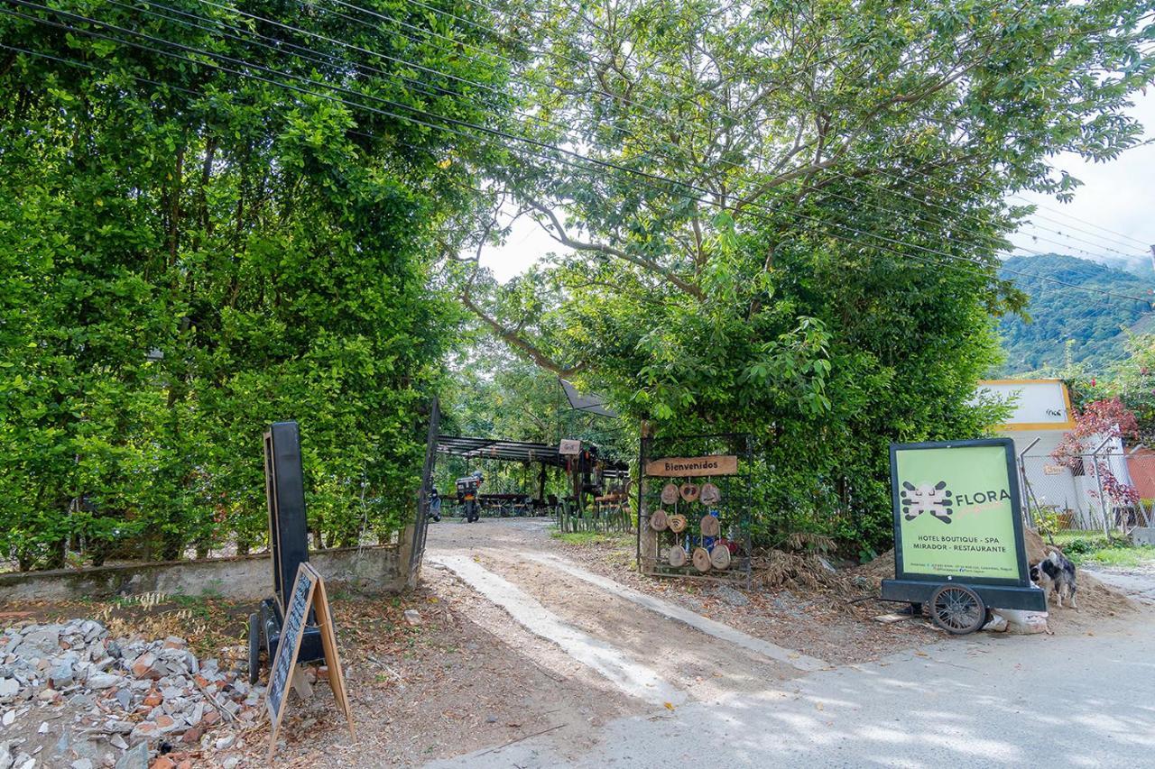 이바게 Ayenda Flora Jaguar B&B 외부 사진